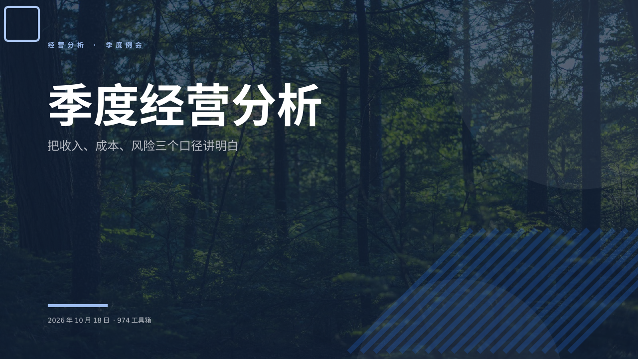季度经营分析 版面预览
