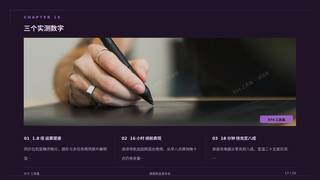 第 17 页